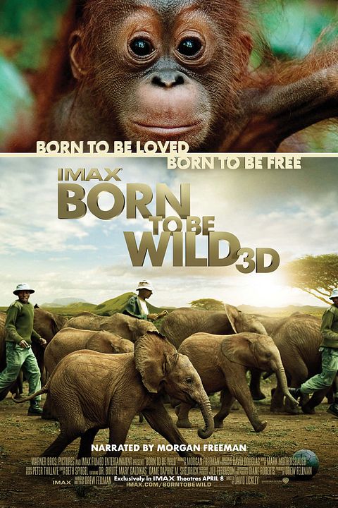 Born to be Wild - Nés pour être libres : Affiche