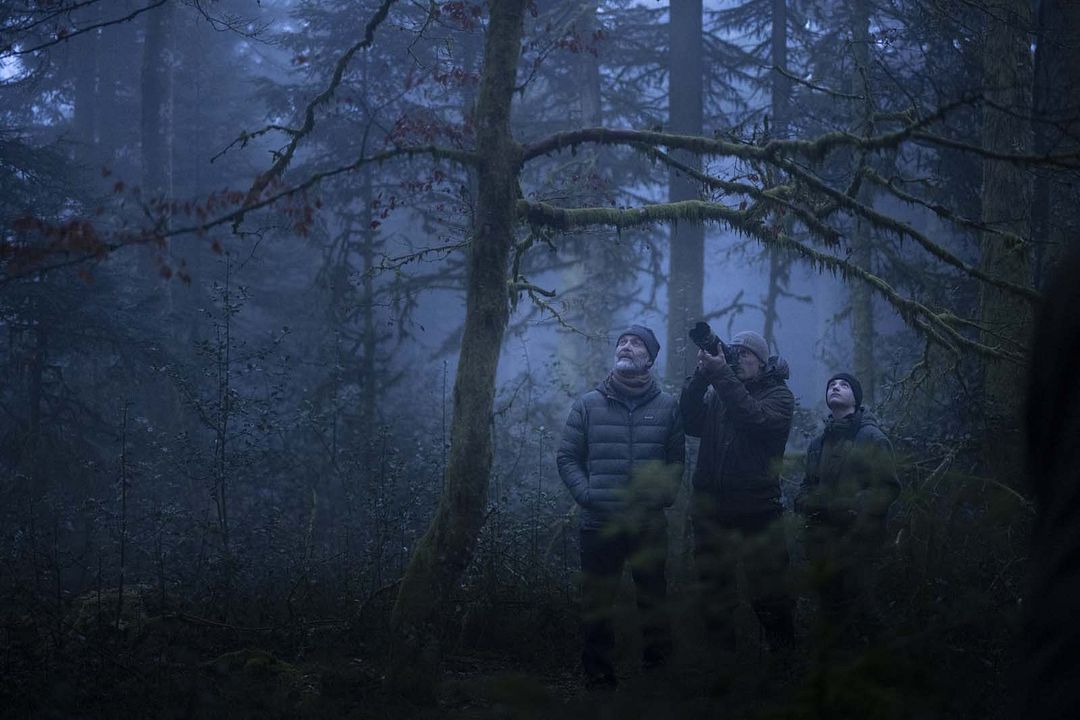 Le Chant des forêts : Photo Vincent Munier