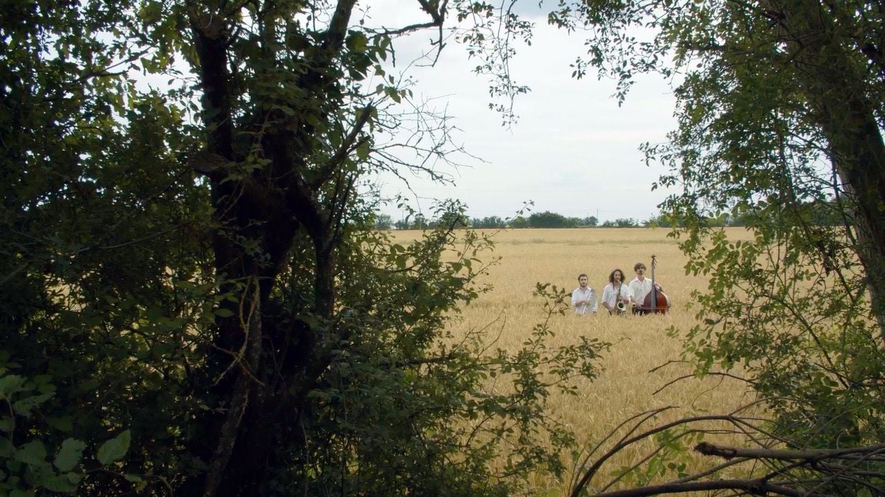 Là où l'herbe est plus verte : Photo