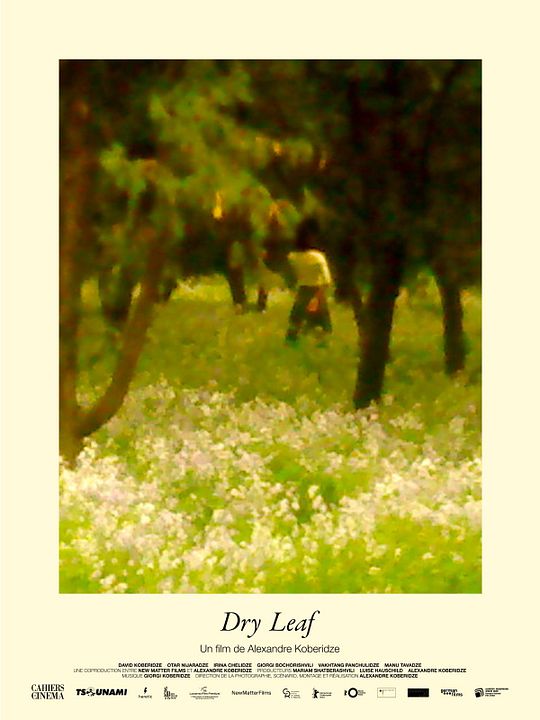 Dry Leaf : Affiche