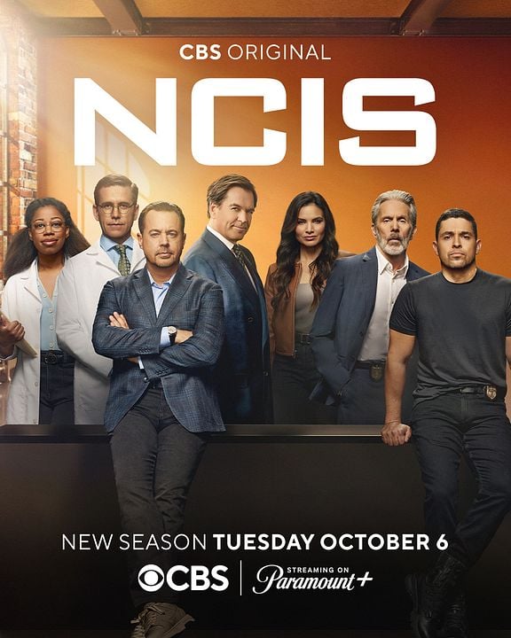 NCIS : Enquêtes spéciales : Affiche