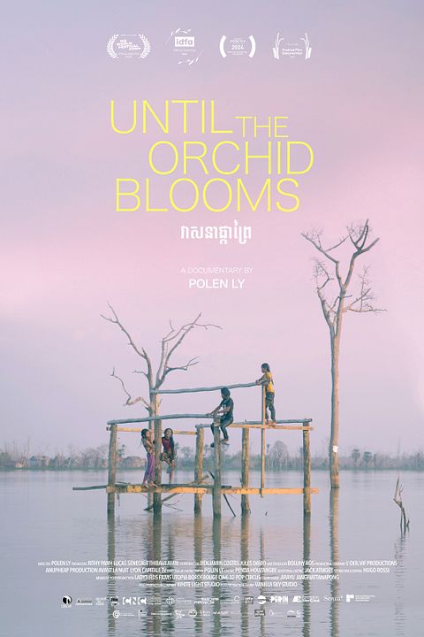 Until The Orchid Blooms : Affiche