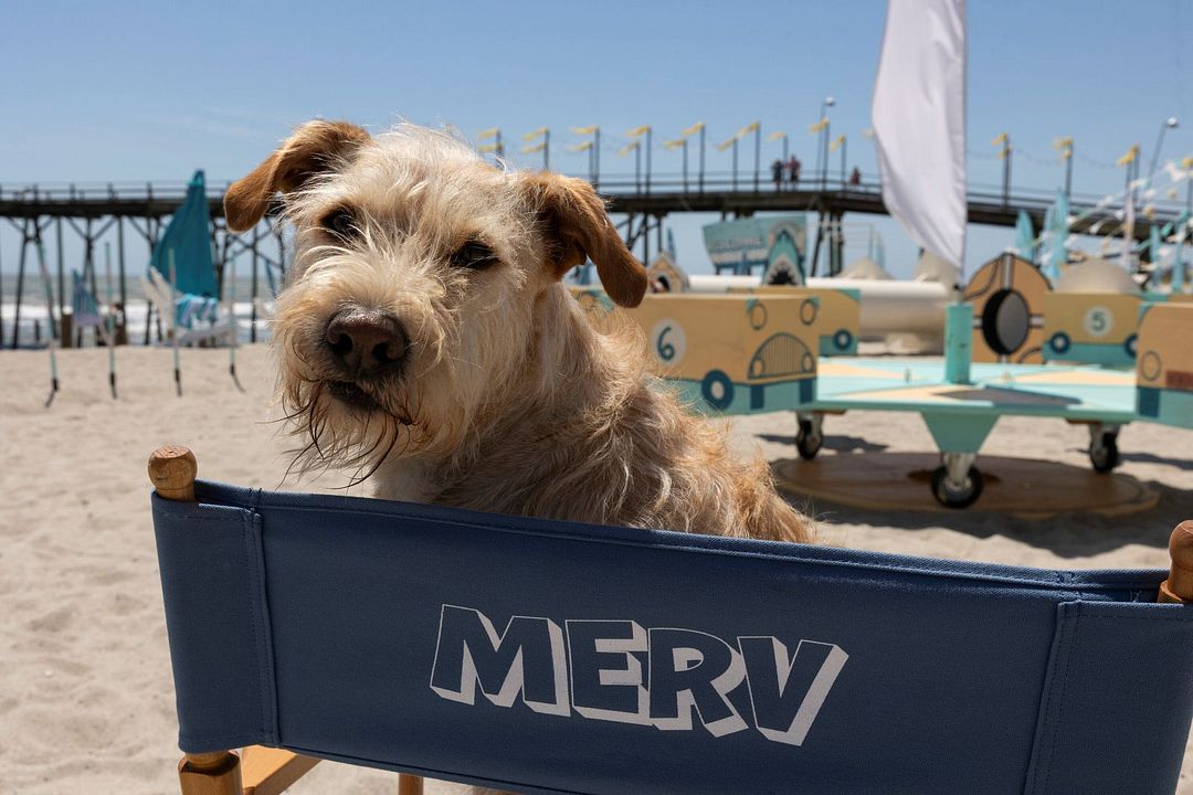 Merv : Photo