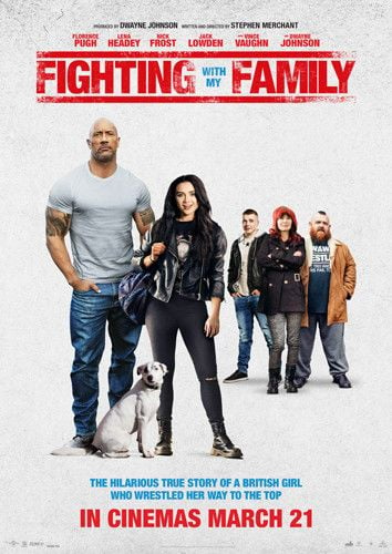 Une famille sur le ring : Affiche