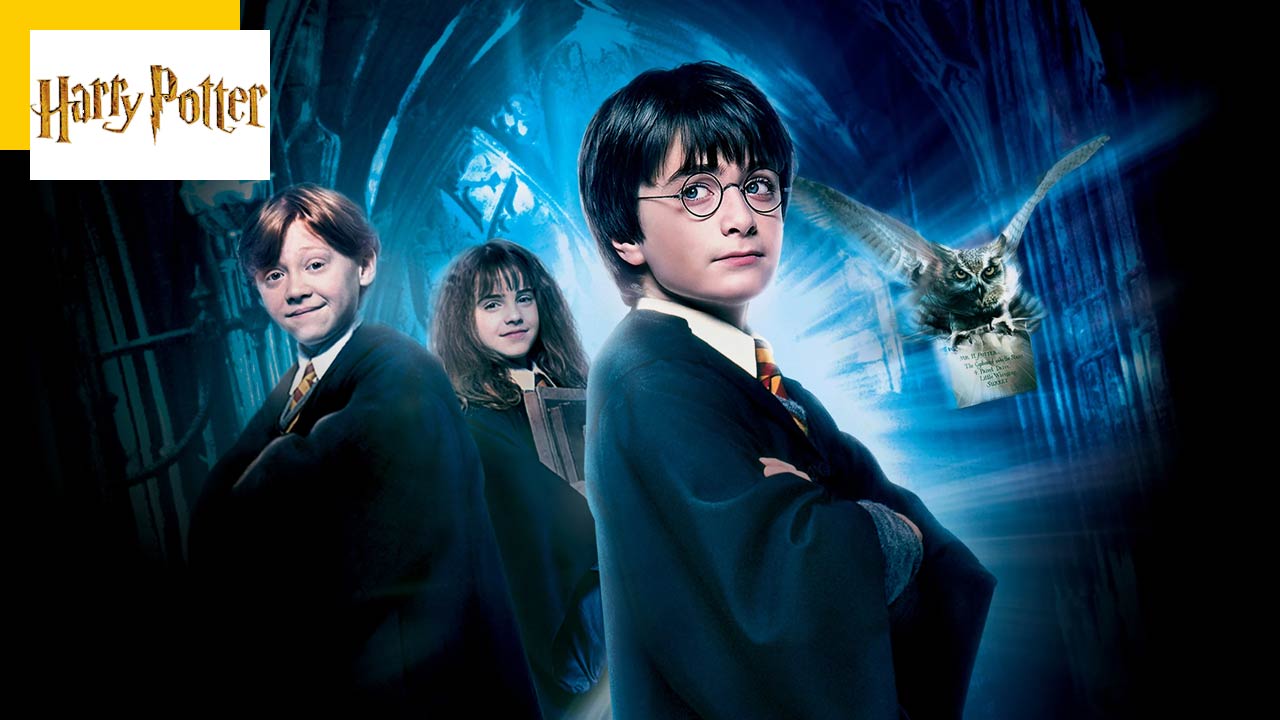 Une trilogie au cinéma pour Harry Potter et l'Enfant maudit