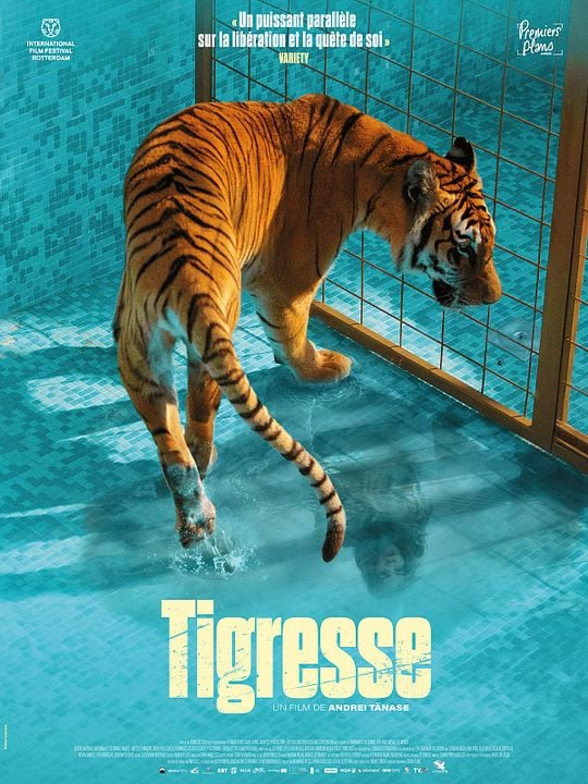 Tigresse : Affiche