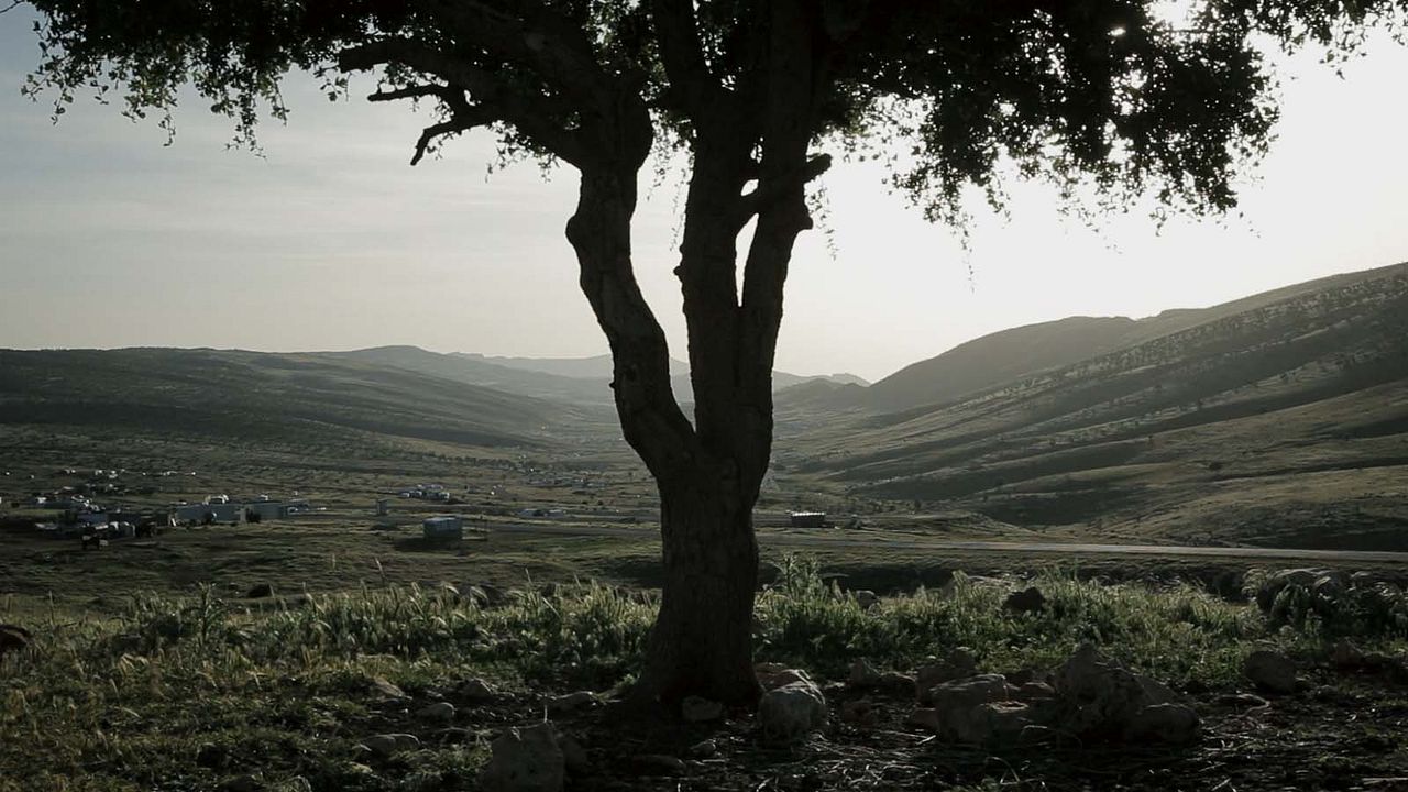 Sinjar, naissance des fantômes : Photo