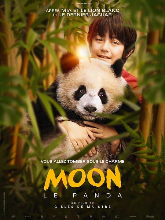 Moon Le Panda : Affiche