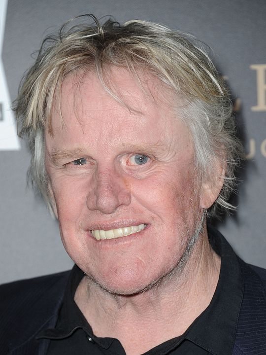 Affiche Gary Busey