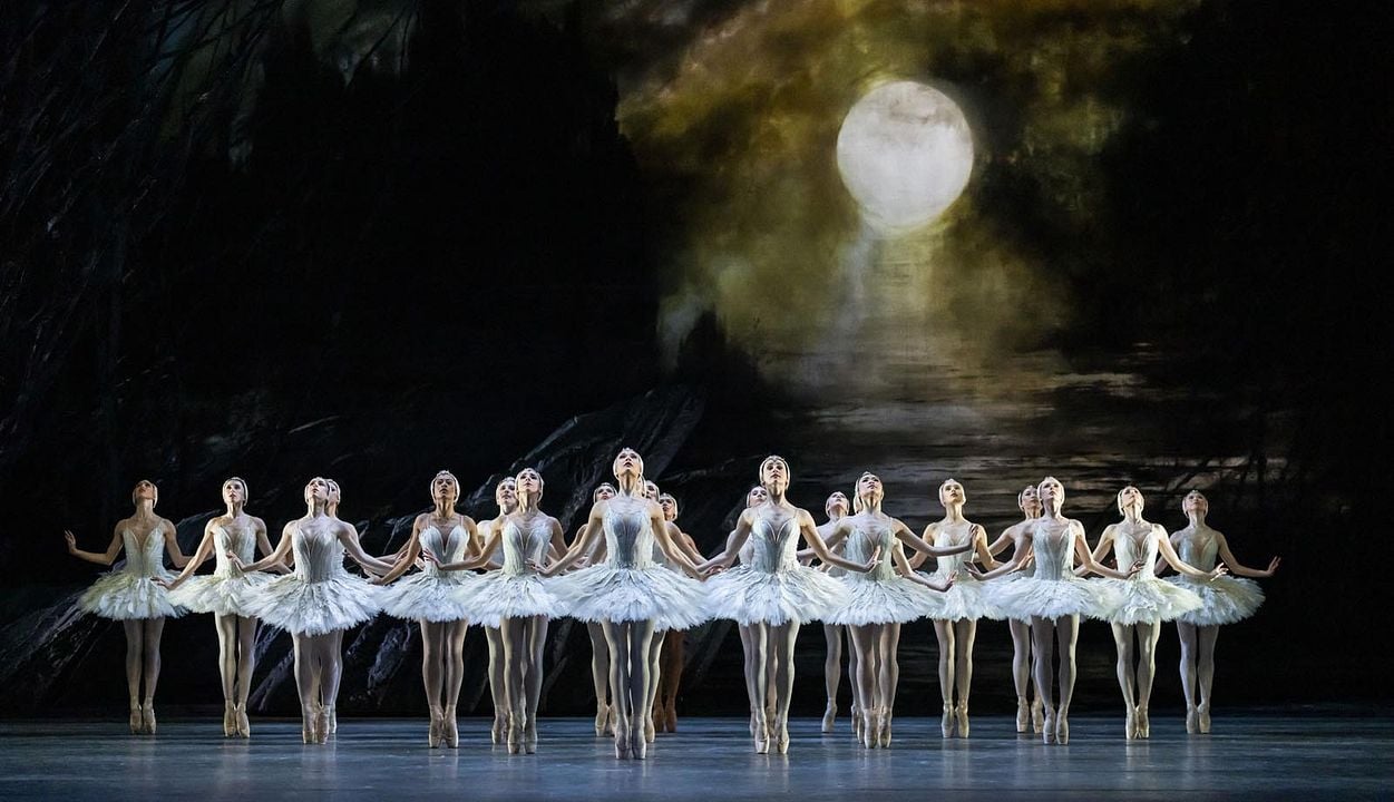 Le Lac des Cygnes (The Royal Ballet) : Photo