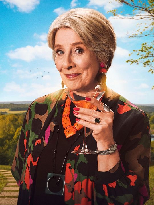 The Puzzle Lady : Affiche