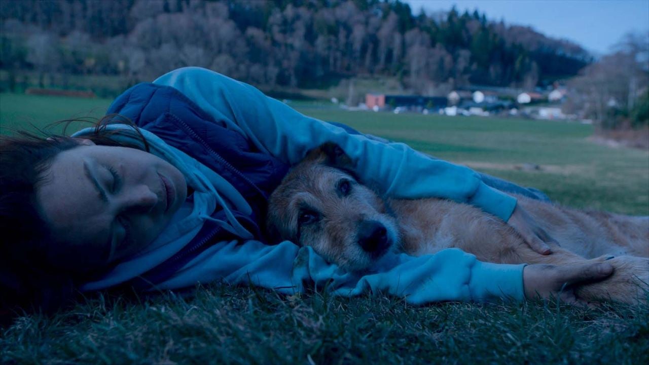 Le Procès du chien : Photo Laetitia Dosch