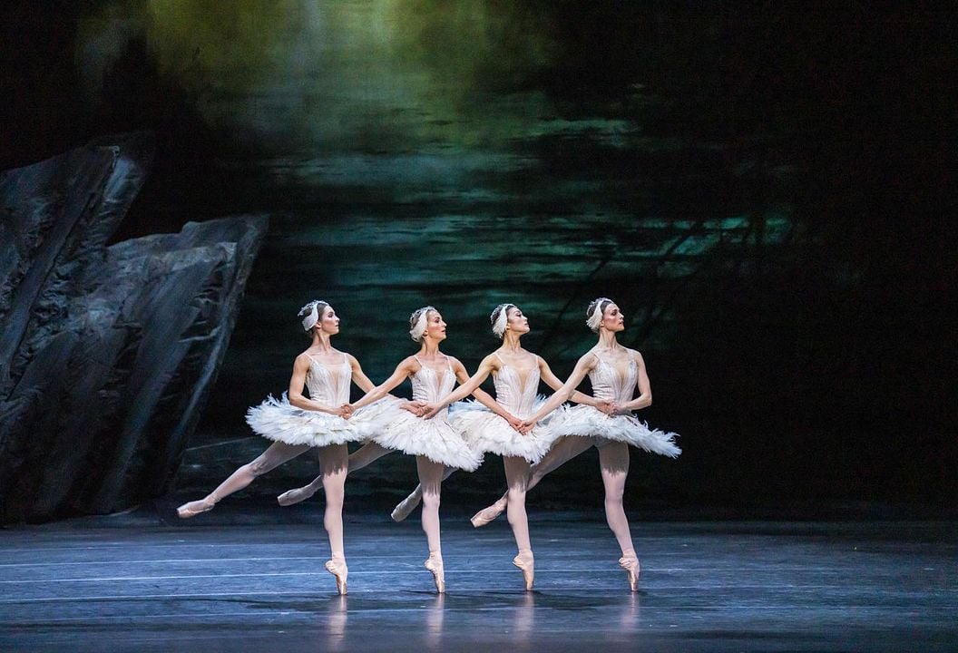 Le Lac des Cygnes (The Royal Ballet) : Photo