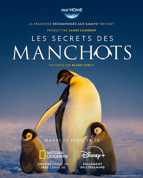 Les Secrets des manchots : Affiche