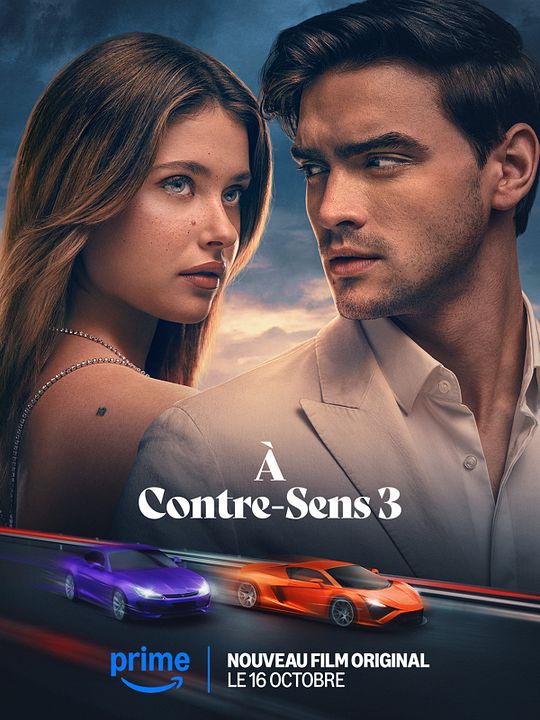 À Contre-Sens 3 : Affiche