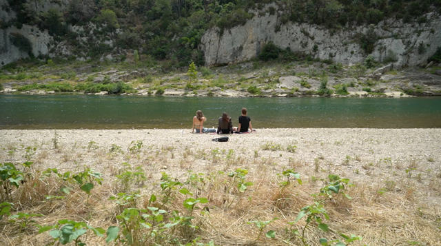Les Palpitantes : Photo