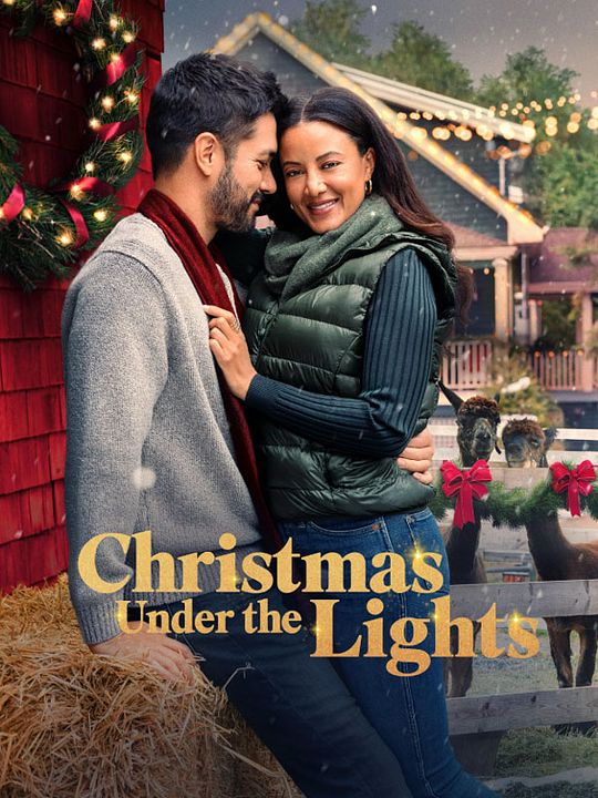 Un Noël plein de lumières : Affiche