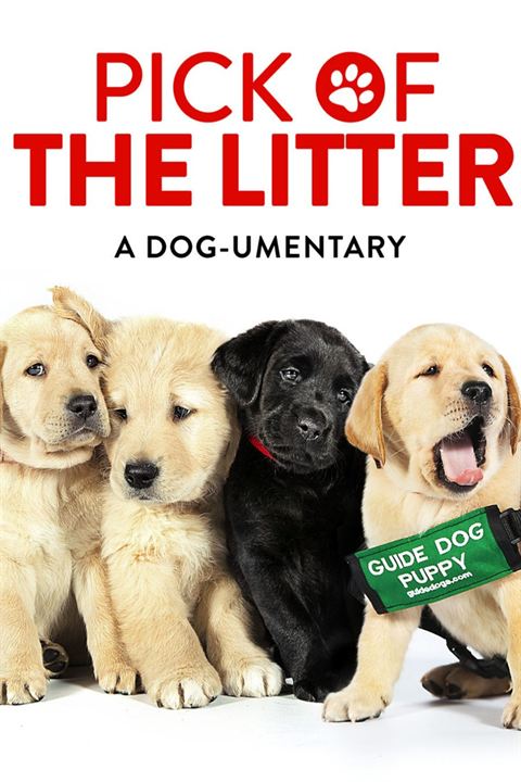 Pick of the Litter : Affiche