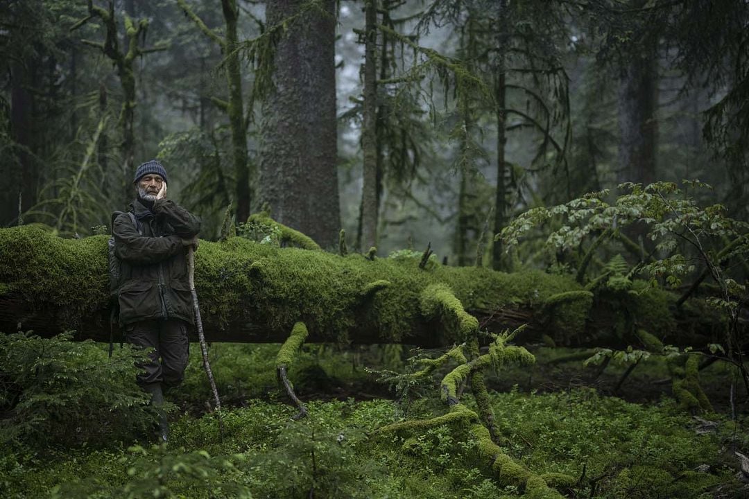 Le Chant des forêts : Photo