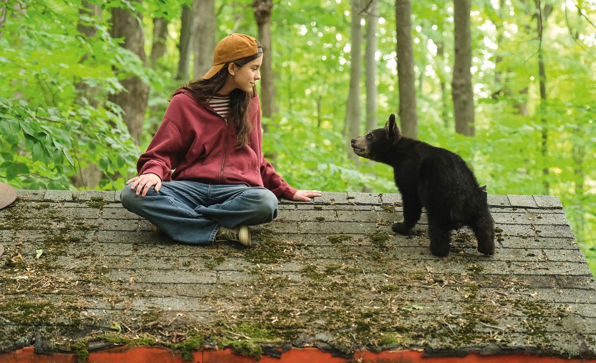 Melody pour un ours : Photo Eva Cinq-Mars
