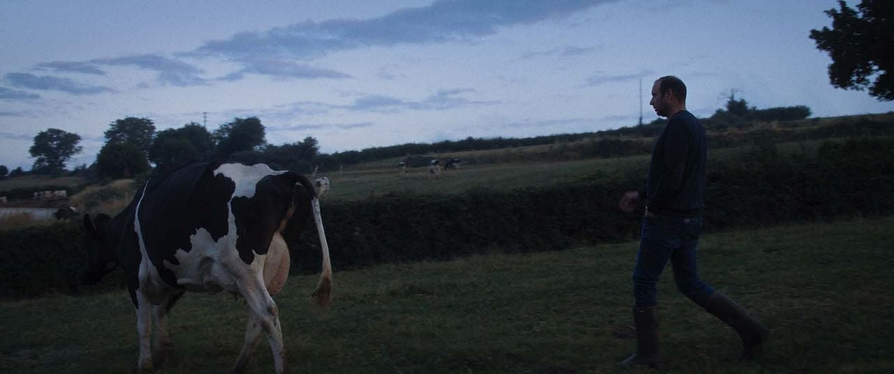 Un été à la ferme : Photo