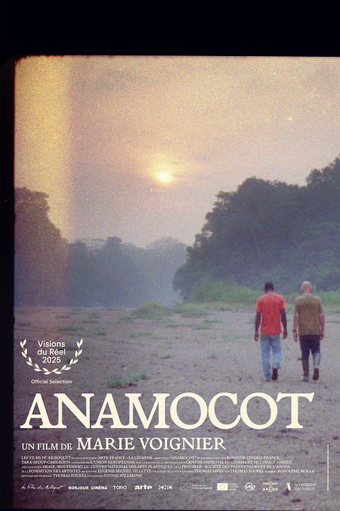 Anamocot La réponse de la mygale : Affiche