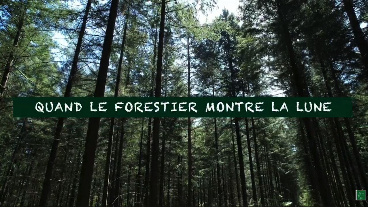 Quand le forestier montre la lune : Affiche