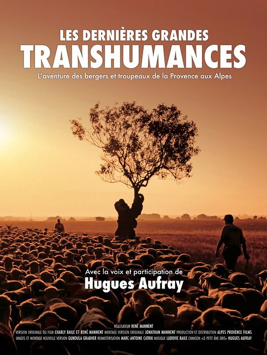 Les Dernières grandes Transhumances : Affiche