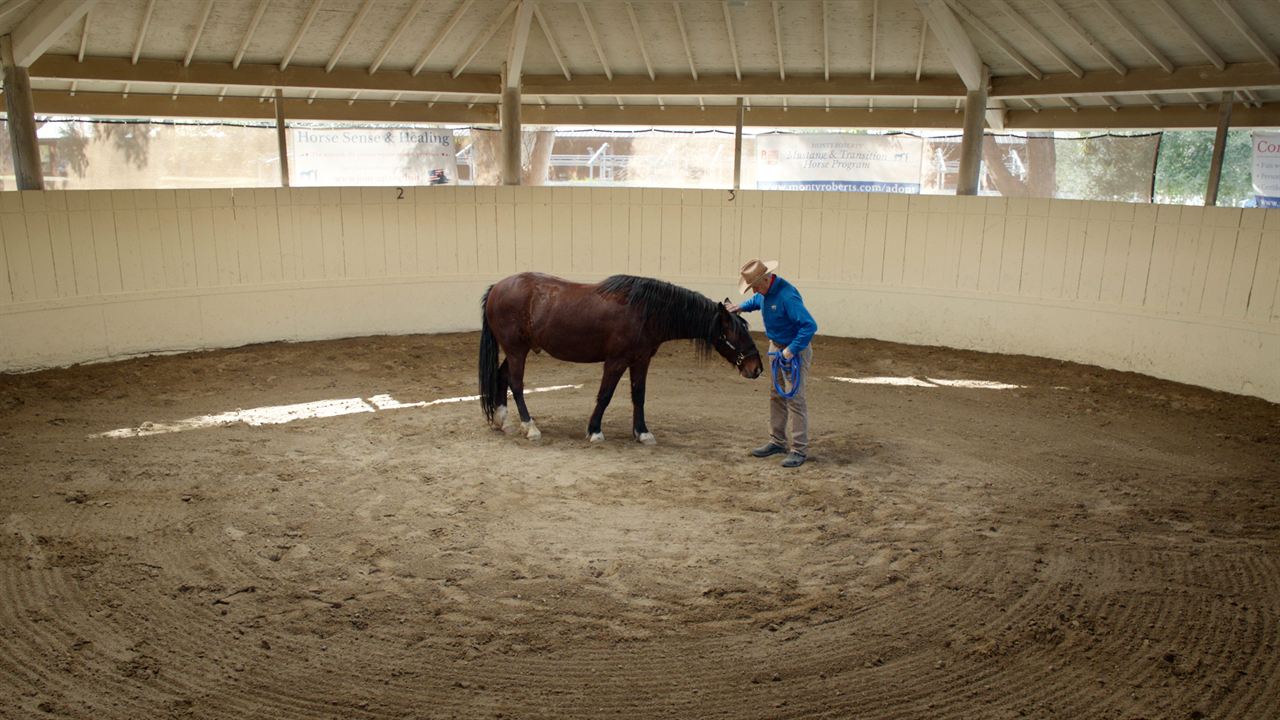 The Cowboy and the Queen : Photo