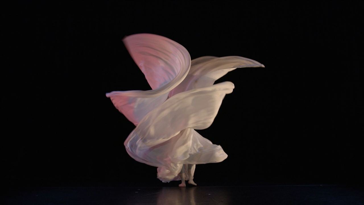 Loïe Fuller : danser la lumière : Photo