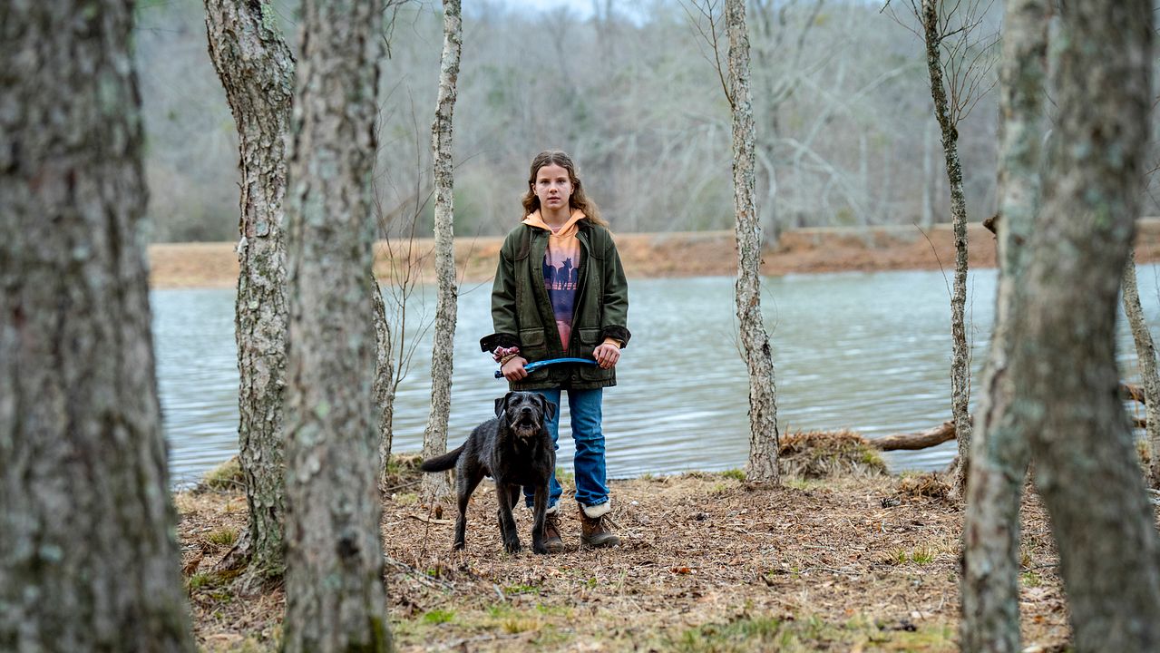 The Rescue : Photo Lorelei Olivia Mote