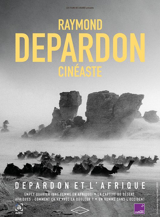 Afriques : comment ca va avec la douleur? : Affiche