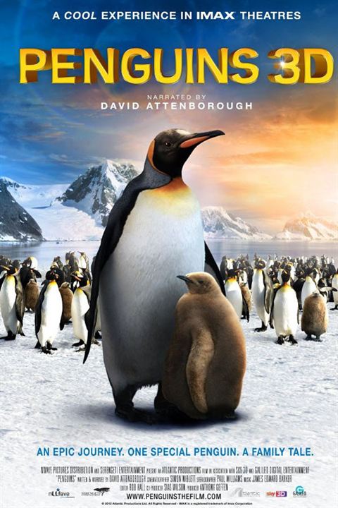 Adventures Of The Penguin King : Affiche
