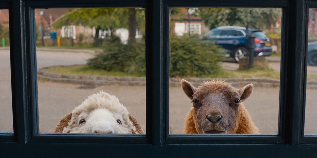 Les Moutons Détectives : Photo