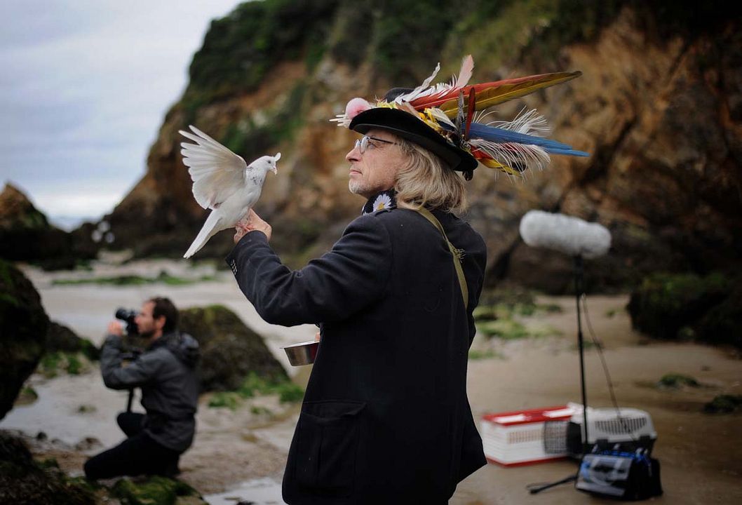 Les Oiseaux de Pluie : Photo