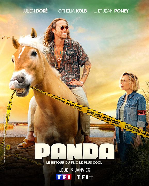 Panda : Affiche