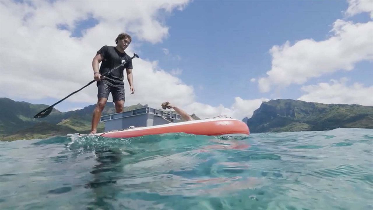 Titouan, les enfants du corail : Photo