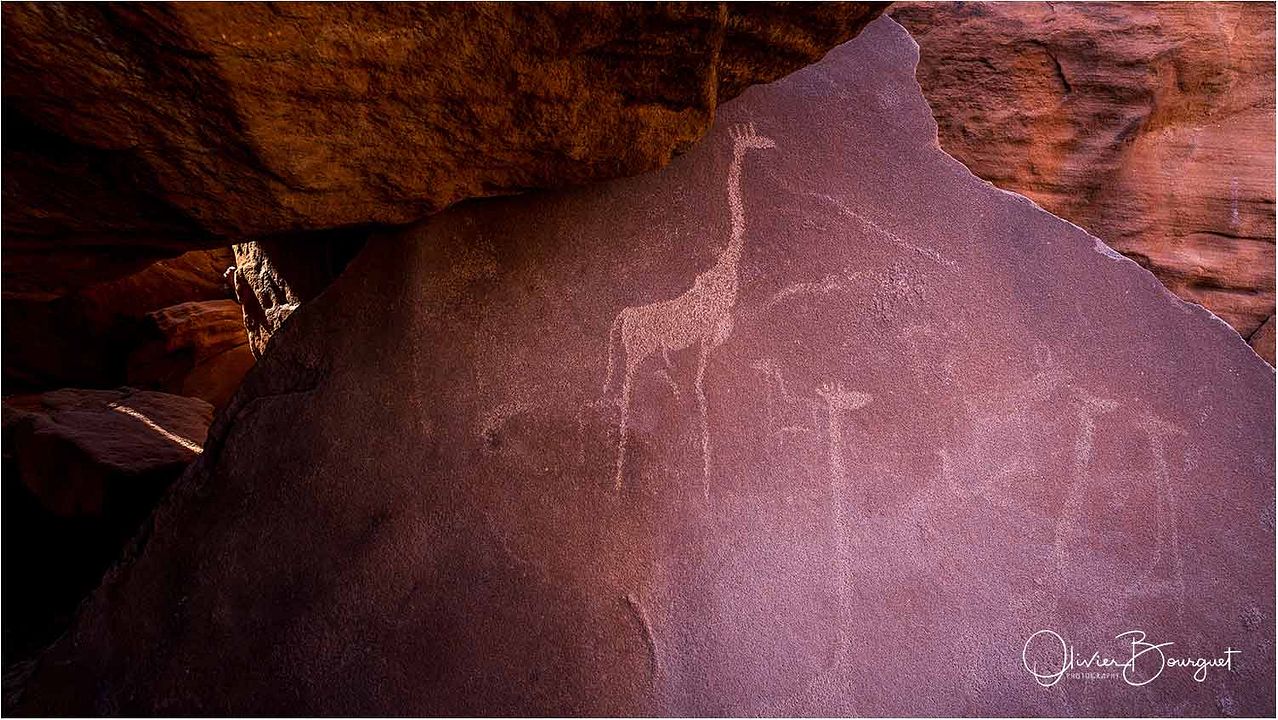 ALTAÏR conférences - Namibie, époustouflante par nature : Photo
