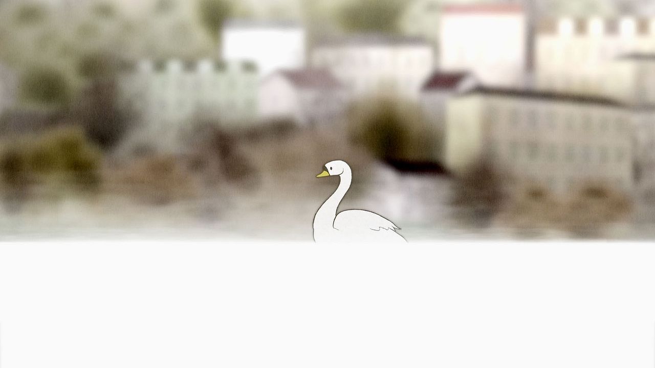 Le Cygne et l'enfant : Photo