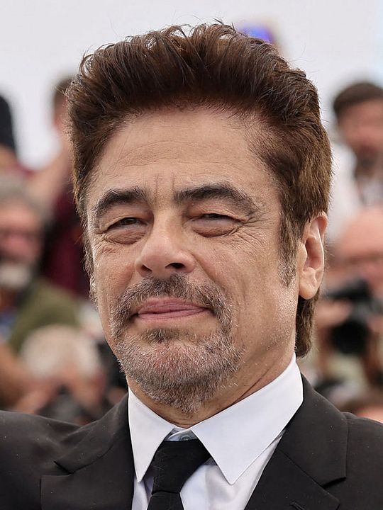 Affiche Benicio Del Toro
