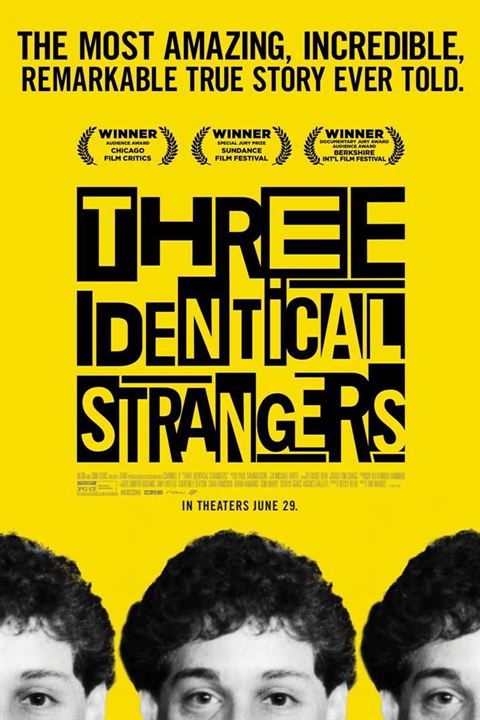 Three Identical Strangers : Affiche