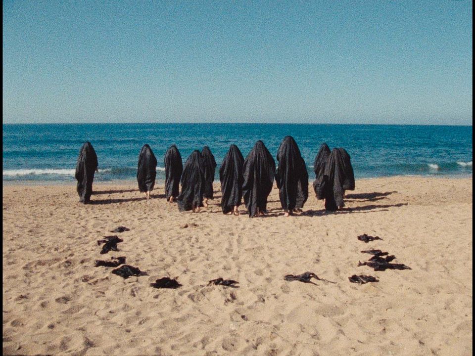 Leila et les Loups : Photo