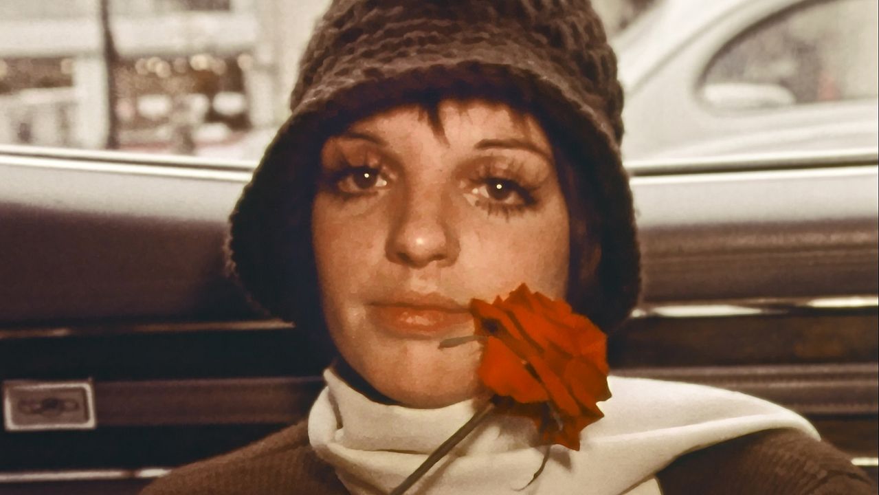 Liza: A Truly Terrific Absolutely True Story : Photo