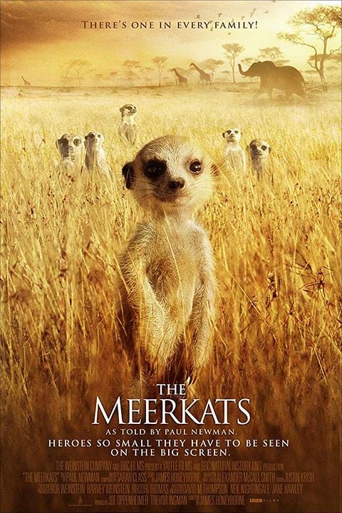 La Famille Suricate : Affiche