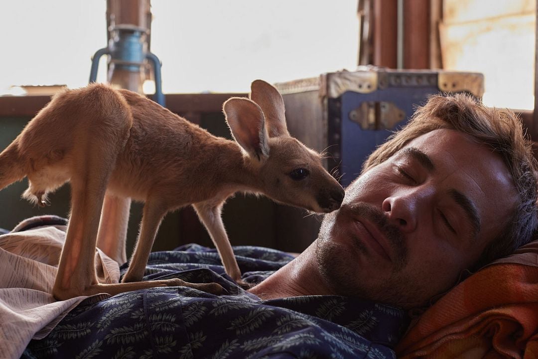Charlie et les kangourous : Photo Ryan Corr