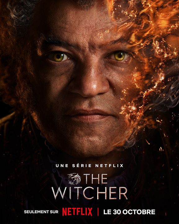 The Witcher : Affiche