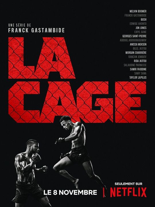 La Cage : Affiche