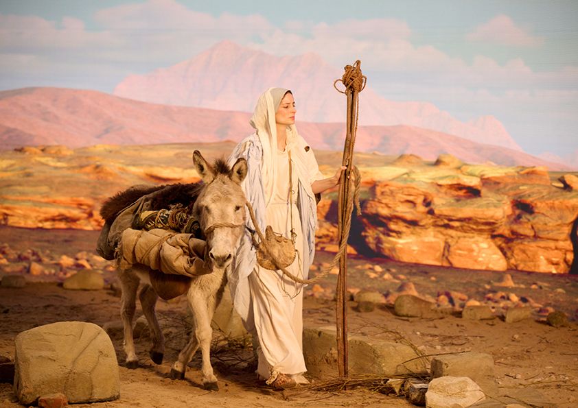 Je suis l’Immaculée Conception : Photo