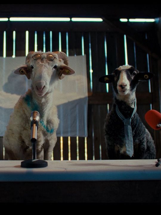 Sheep : Affiche