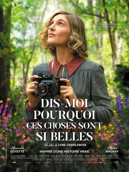 Dis-moi pourquoi ces choses sont si belles : Affiche